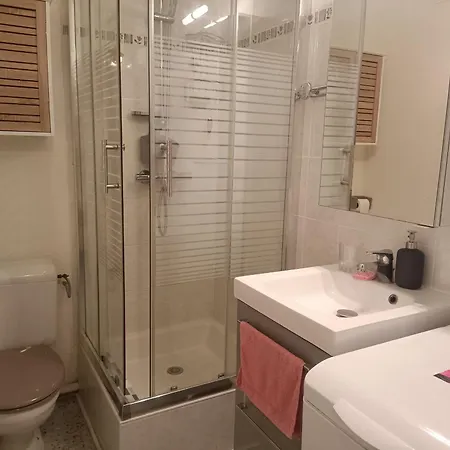 T2 Renove Avec Terrasse Et Parking Securise Appartement *