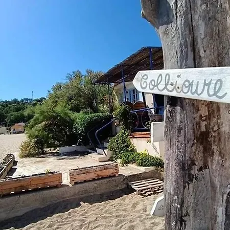 Appartement T2 Renove Avec Terrasse Et Parking Securise Argelès-sur-Mer