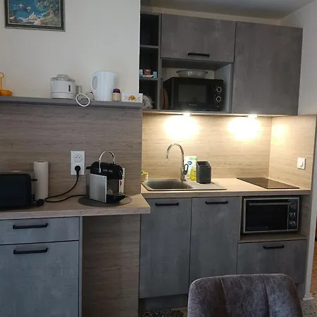 T2 Renove Avec Terrasse Et Parking Securise Appartement