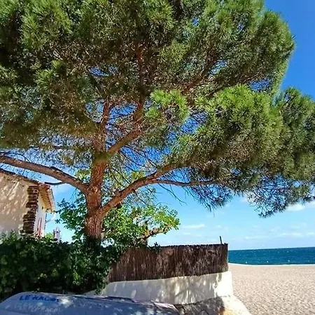 Appartement T2 Renove Avec Terrasse Et Parking Securise *
